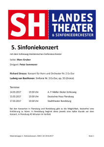 weitere infos - Landestheater Schleswig