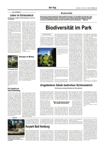 Biodiversität in Bad Homburgs Kur- und Schlosspark
