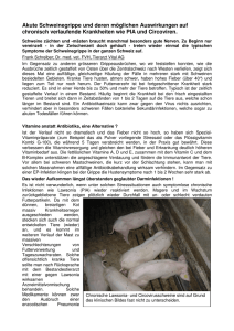 Akute Schweinegrippe und deren möglichen Auswirkungen