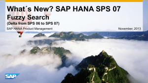 SAP HANA Fuzzy Search
