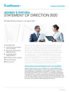 statement of direction 2020