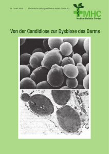 Broschüre Candida Behandlung PDF