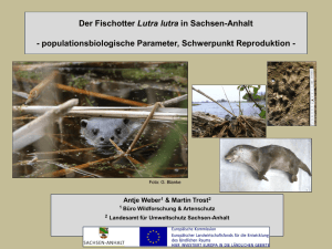 Der Fischotter in Sachsen-Anhalt