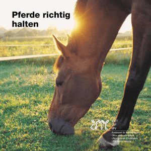 Pferde richtig halten (BVET, 2001)