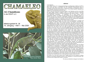 Chamaeleo 36 - Website der AG Chamäleons