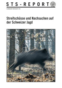 STS-Report: Streifschüsse und Nachsuchen auf der Schweizer Jagd