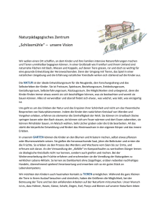 lesen pdf - Schilasmühle