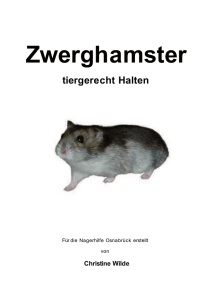 Zwerghamster - Hamsterforum