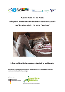 Info-Broschüre für Schweinehalter: Erfolgreich