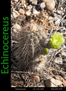 Sonderdrucke Echinocereus - Echinocereus Online