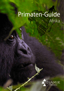 Primaten-Guide - DIAMIR Erlebnisreisen