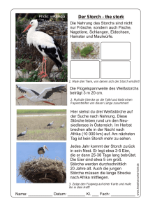 Der Storch-the stork