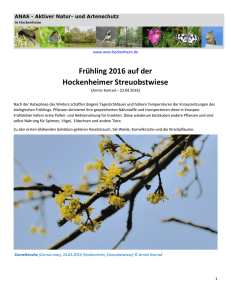 Frühling 2016 auf der Hockenheimer Streuobstwiese