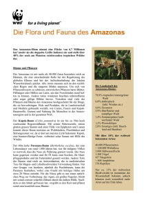 Fauna und Flora des Amazonas WWF.AT