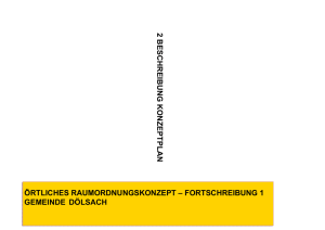 Beschreibung Konzeptplan Dölsach113.8 kB