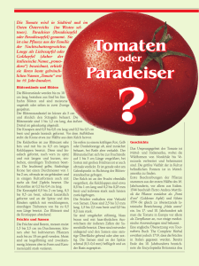 Paradeiser Tomaten - Pro Patient online