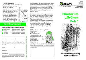 Häuser im „Grünen Pelz“ - BUND Schleswig