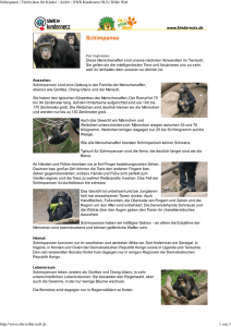 Schimpanse - SWR Kindernetz