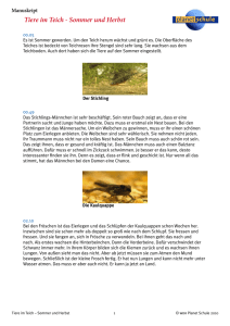 Tiere im Teich - Sommer und Herbst - Manuskript