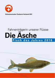 Flyer - Schweizerischer Fischerei