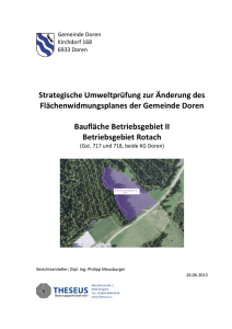 Umweltbericht - in der Strategischen Umweltprüfung