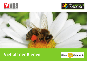 Poster Vielfalt der Bienen