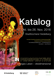 Katalog - Life in Perspective