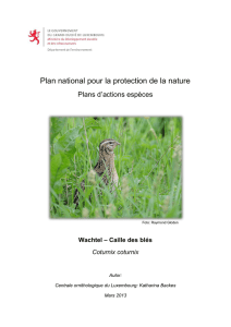 Plan national pour la protection de la nature