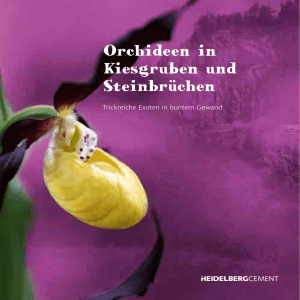 Orchideen in Kiesgruben und Steinbrüchen
