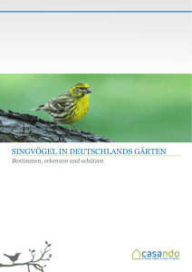 singvögel in deutschlands gärten