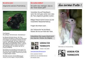 Flyer: Putenmast - Verein für Tierrechte Ahrensburg