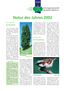 3000270 SDW "Natur 2002" - Schutzgemeinschaft Deutscher Wald