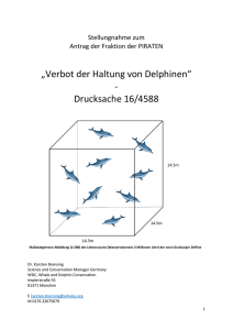 Stellungnahme Delfine - Whale and Dolphin Conservation