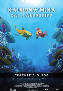 des Teacher`s Guide