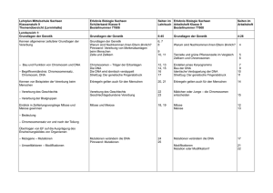 Lehrplan Mittelschule Sachsen Klassenstufe 9 Themenübersicht