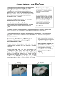 Akromelanismus und Albinismus - Meerschweinchenclub