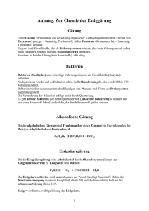Anhang: Zur Chemie der Essiggärung - Austria