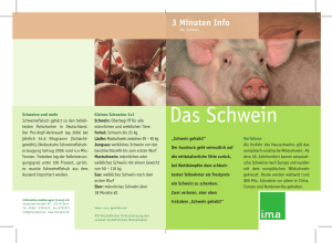 Das Schwein - information.medien.agrar eV