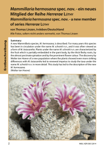 Mammillaria hermosanaspec. nov. - ein neues Mitglied der Reihe