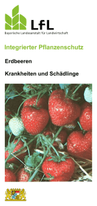 Die Publikation als PDF 336 KB - Bayerische Landesanstalt für