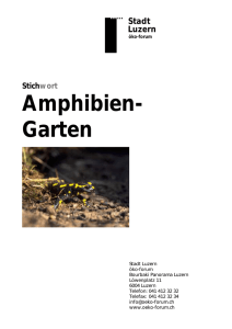 Stichwort Amphibien-Garten