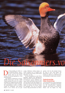 Die Saisonniers vom Bodensee (Seiten 46-51)