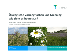 Ökologische Vorrangflächen und Greening