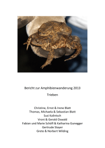 Amphibienschutz - Land Steiermark