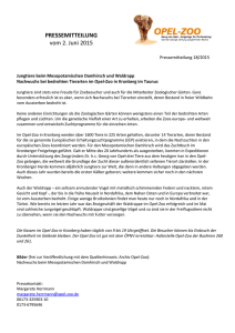 Pressemitteilung vom 02.06.2015 - Opel-Zoo