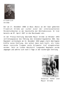 Oberst Friedrich Strohm - Geschichte der 260. Infanteriedivision