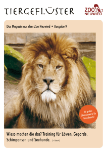 Ausgabe 9 - Zoo Neuwied