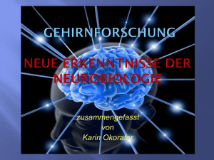 Gehirnforschung neue Erkenntnisse der Neurobiologie