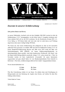 Beispiel Infoblatt für Anzeigenkunden (V.I.N. Mittelschule Auerbach)