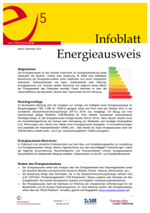 Infoblatt Energieausweis - e5